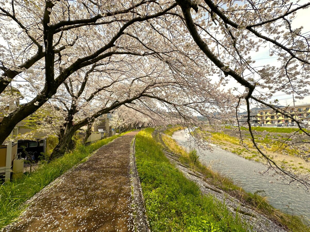 glad下川原