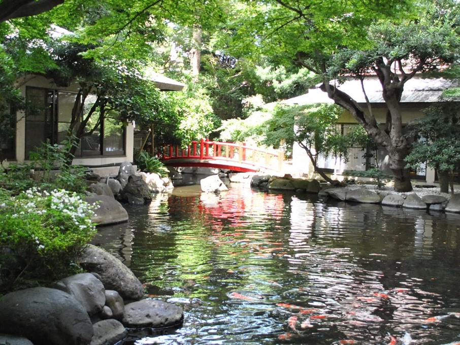 風情を感じられる日本庭園
